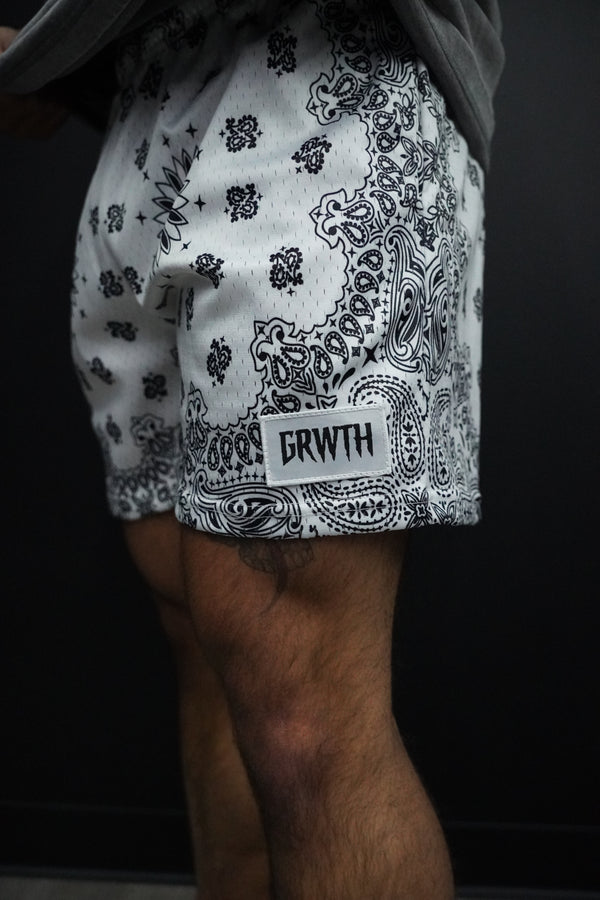 "ABSTRACT" 5" MESH SHORT