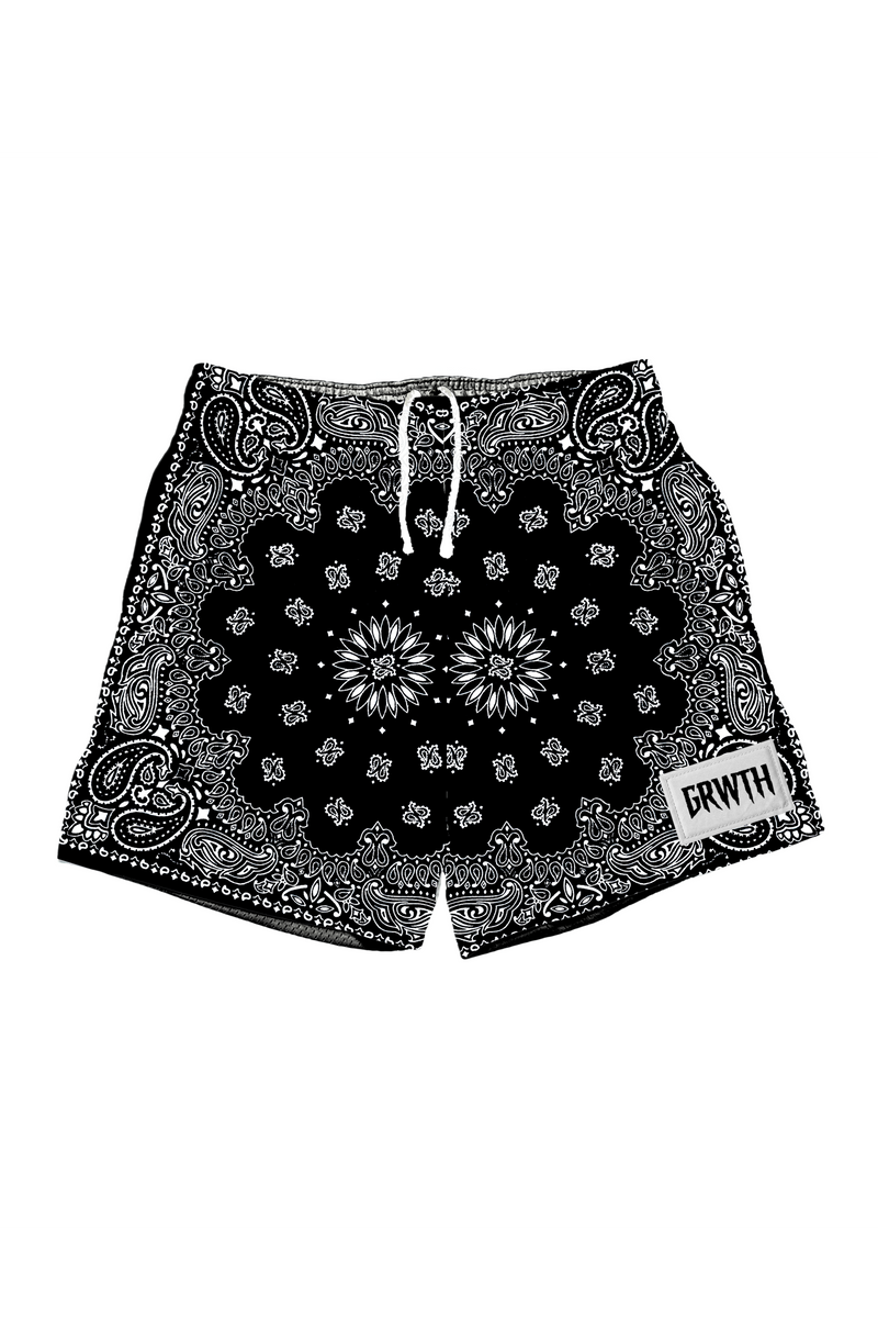 "ABSTRACT" 5" MESH SHORT